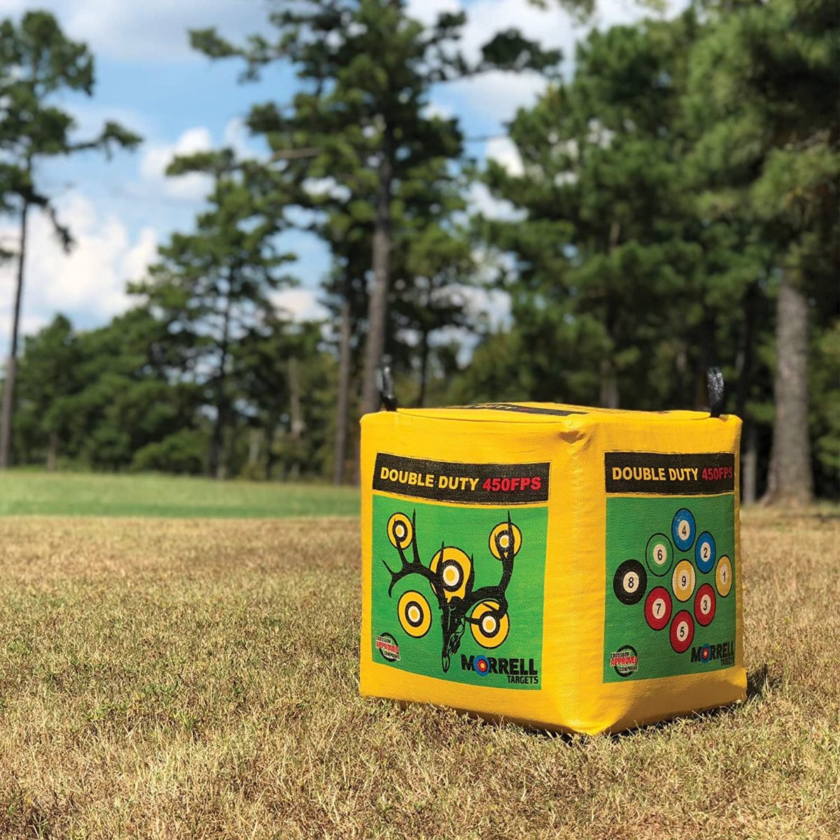 Best Crossbow Targets for Over 400 FPS Tested and Reviewed