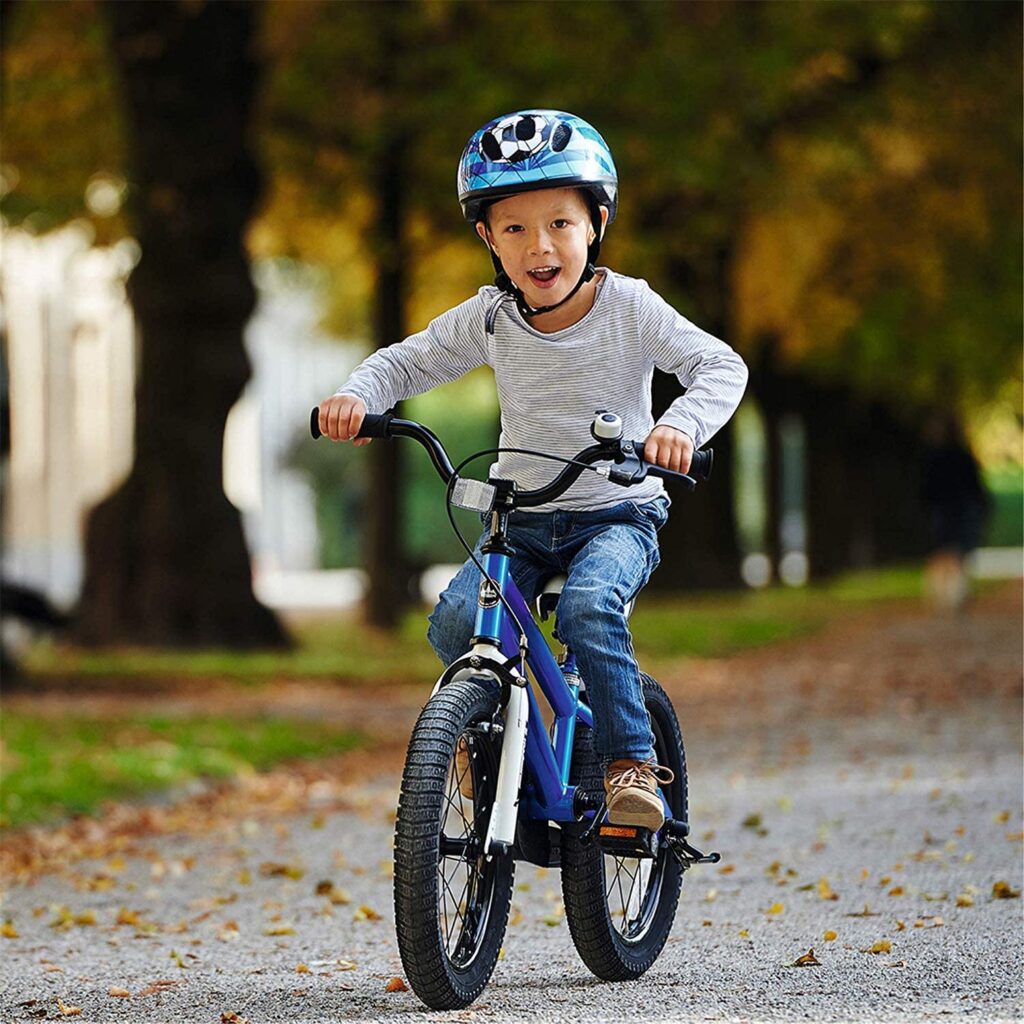 Image of Royal Baby 5 Year Old Boys Freestyle Bicycle