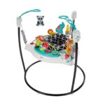 Picture of Fisher-Price Animal Wonders Jumperoo Present for 2-Year-Old Girl