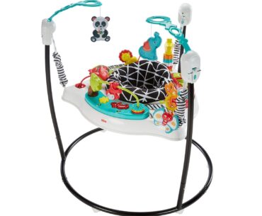 Picture of Fisher-Price Animal Wonders Jumperoo Present for 2-Year-Old Girl