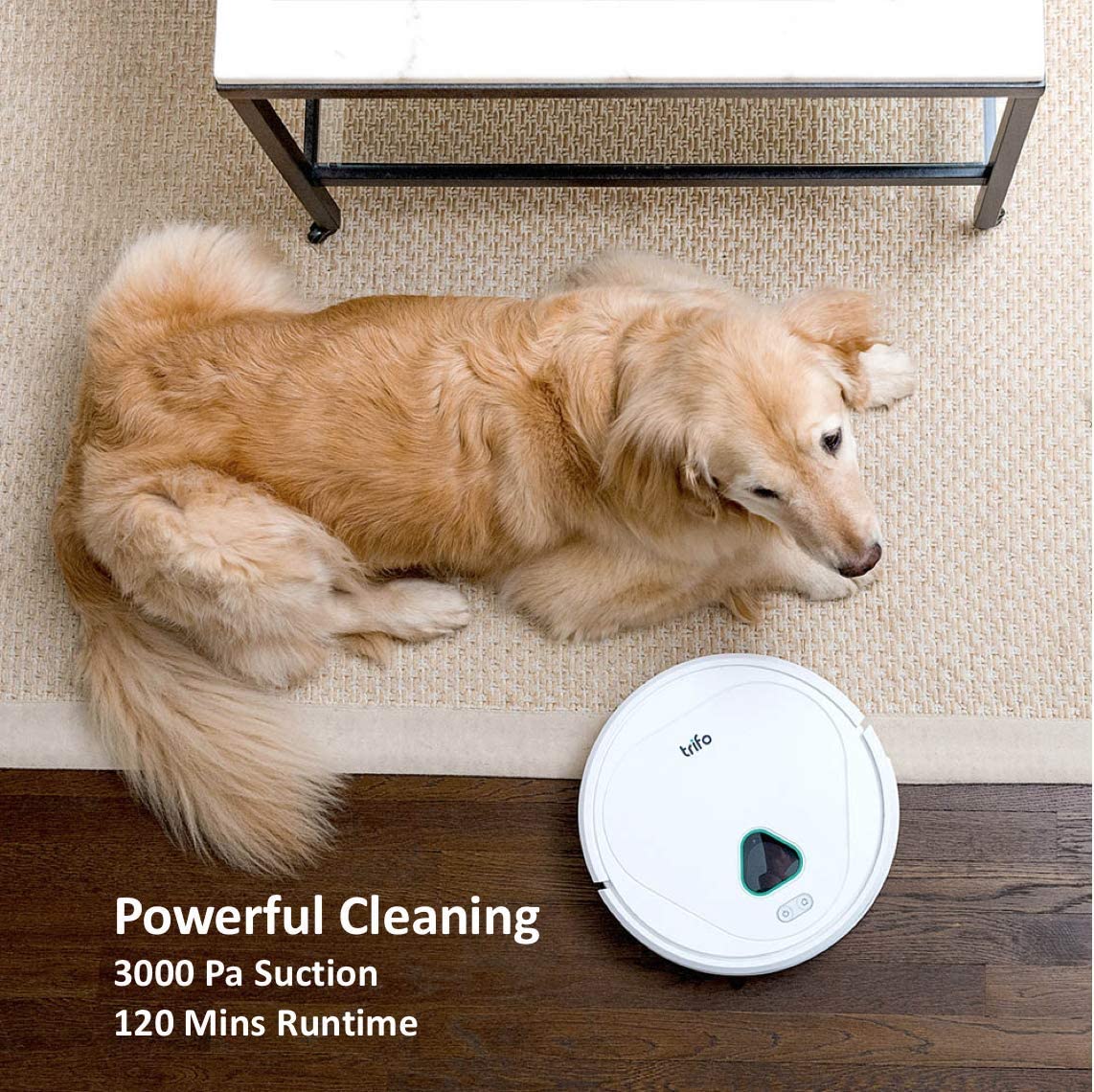 Top 14 Best Vacuums for Long Hair Pet and Human Hair