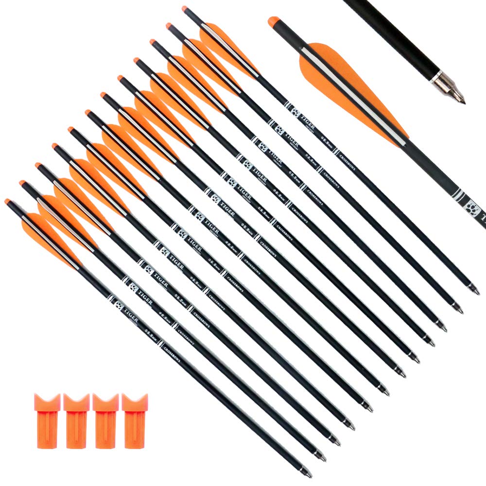 Image of Tiger Archery 12 Pack – Hunting Archery 20" Bolts
