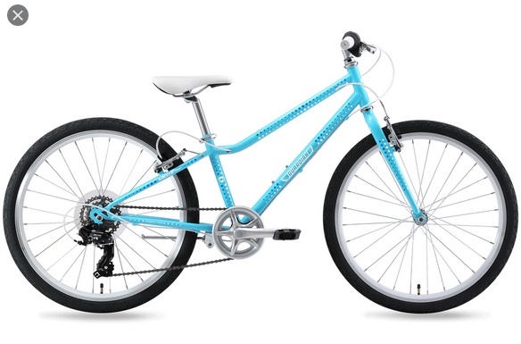 Image of Guardian 24-Inch Bikes For 11-Year-Old-Girls