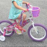 Photo of Titan Girl's Flower Princess BMX Bike, Pink, 16-Inch